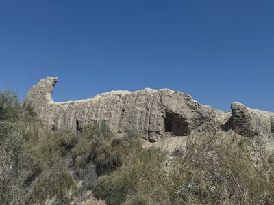 *IMG_5913.jpg