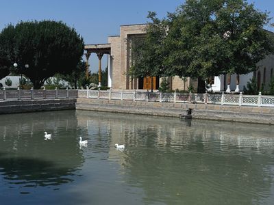 *IMG_5712.jpg