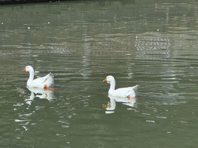 *IMG_5713.jpg