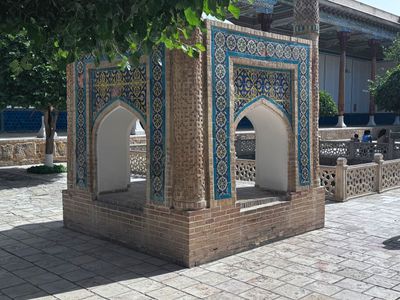 *IMG_5728.jpg