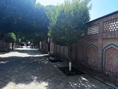 *IMG_5735.jpg