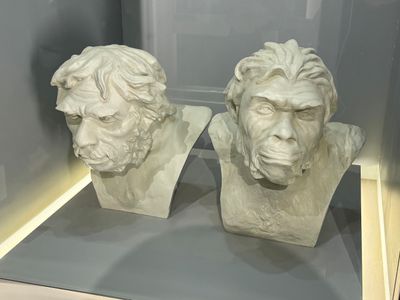 *IMG_6683.jpg
