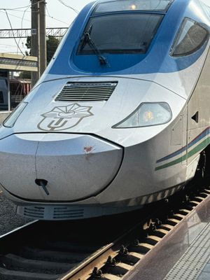 *IMG_5365.jpg