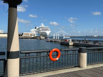 *IMG_0036.jpg