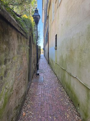 g13/73/691773/3/175056031.2638f341.JPEG
