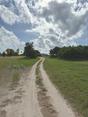 *IMG_0307.jpg