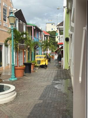 *IMG_0334.jpg