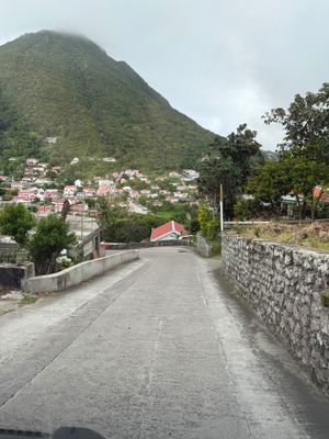 *IMG_0542.jpg