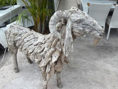 *IMG_0548.jpg