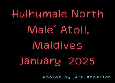 Hulhumale, North Male Atoll, Maldives (January 2025)
