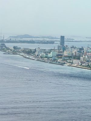 g13/73/691773/3/175238435.a512d841.JPEG
