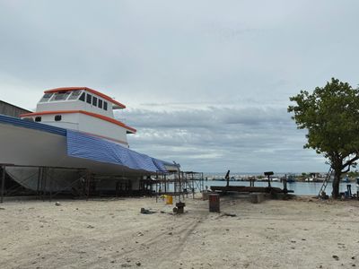 *IMG_1239.jpg
