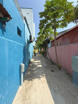 *IMG_1269.jpg