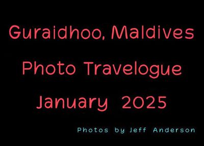 Guraidhoo, Maldives (January 2025)