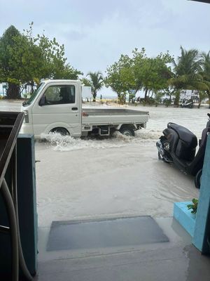*IMG_1201.jpg