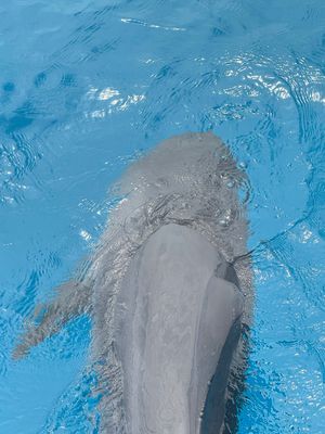 *IMG_1180.jpg