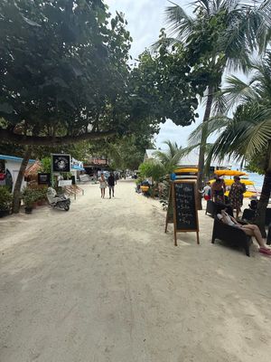 *IMG_1223.jpg