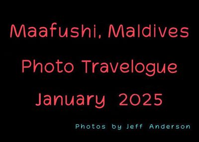 Maafushi, Maldives (January 2025)