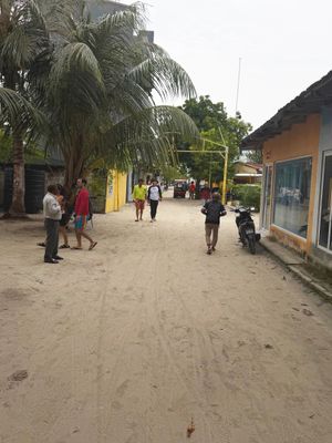 *IMG_1070.jpg