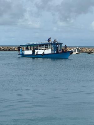 *IMG_1076.jpg