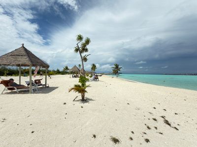 *IMG_1098.jpg