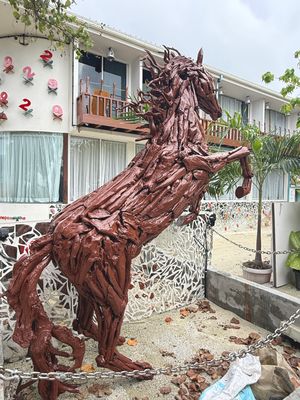 *IMG_1122.jpg