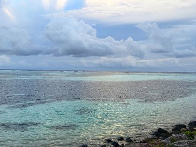 *IMG_1138.jpg