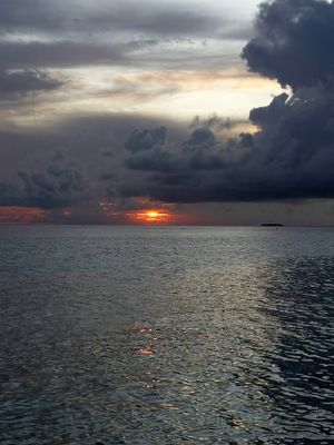 *IMG_1149.jpg