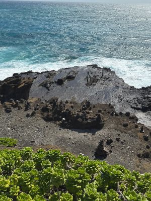 *IMG_1512.jpg