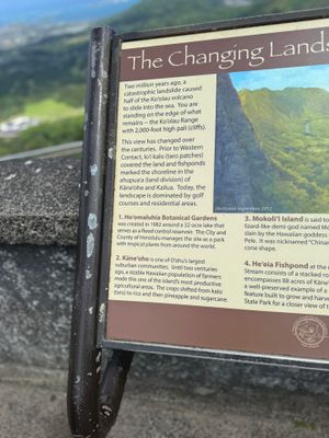 g13/73/691773/3/175368772.77848702.JPEG