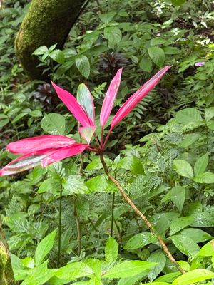 *IMG_1758.jpg