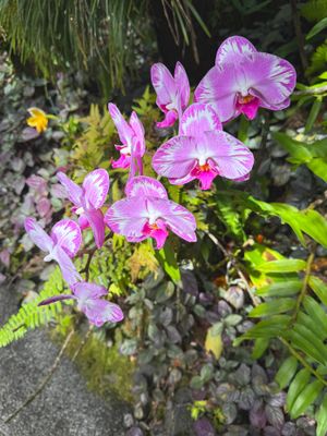 *IMG_1766.jpg