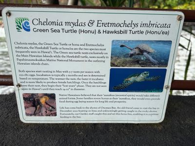 *IMG_1787.jpg