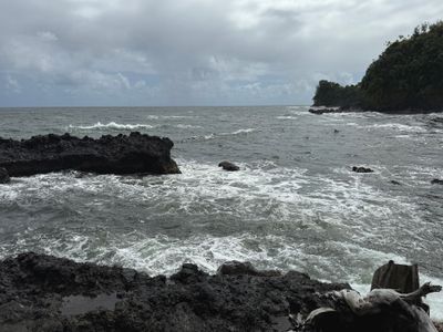 *IMG_1788.jpg