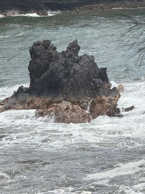 *IMG_1808.jpg