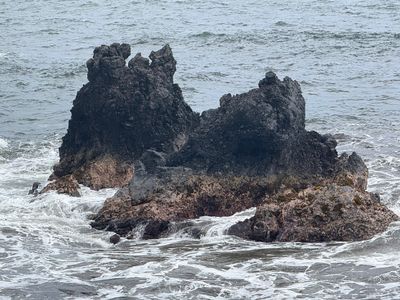 *IMG_1810.jpg