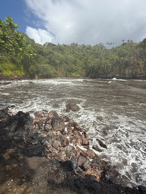 *IMG_1819.jpg