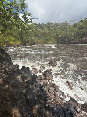 *IMG_1821.jpg
