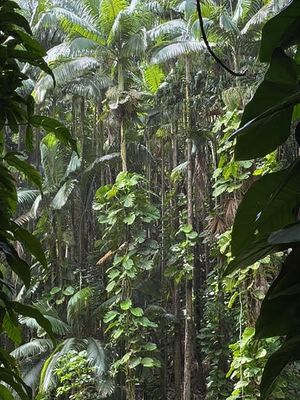 *IMG_1850.jpg