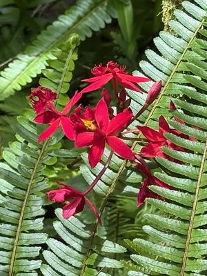 *IMG_1855.jpg