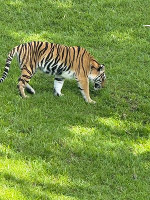 *IMG_1837.jpg
