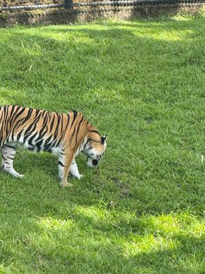 *IMG_1840.jpg