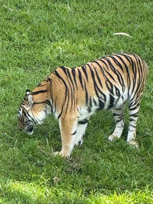 *IMG_1842.jpg