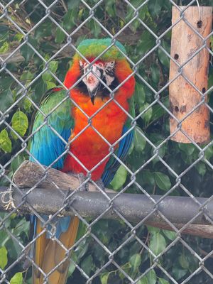 *IMG_1859.jpg