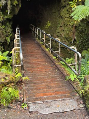*IMG_1911.jpg
