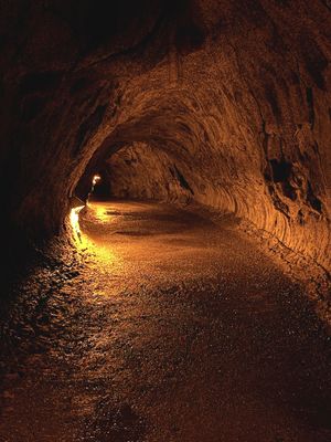 *IMG_1914.jpg