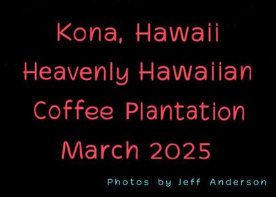 Kona, Hawaii, Heavenly Hawaiian Coffee Plantation (March 2025)