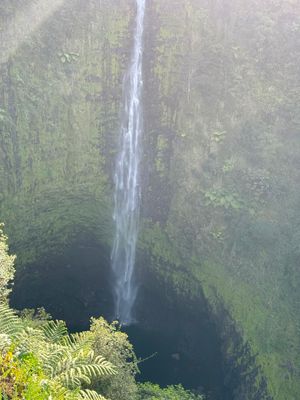 *IMG_1671.jpg