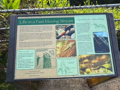 *IMG_1675.jpg