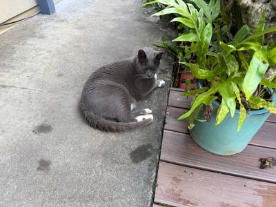 IMG_1705.jpeg